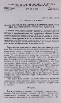 Эффект стимуляции различных областей хвостатого ядра на судорожную готовность животных