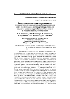 Синаптические постстимульные проявления активности в антиноцицептивном большом ядре шва мозга при активации околоводопроводного серого вещества мозга на модели болезни Паркинсона в условиях протекции меланином