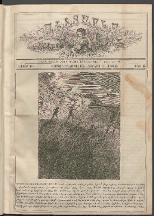 Աւետաբեր տղայոց համար, 1880, հատոր Թ, թիւ 6 (Յունիս 1)