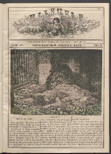 Աւետաբեր տղայոց համար, 1884, հատոր ԺԳ, թիւ 8 (Օգոստոս 1)