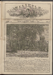 Աւետաբեր տղայոց համար, 1886, հատոր ԺԵ, թիւ 8 (Օգոստոս 1)