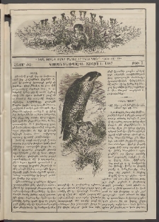Աւետաբեր տղայոց համար, 1887, հատոր ԺԶ, թիւ 7 (Յուլիս 1)