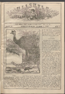 Աւետաբեր տղայոց համար, 1889, հատոր ԺԸ, թիւ 8 (Օգոստոս 1)