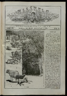 Աւետաբեր տղայոց համար, 1895, հատոր ԻԴ, թիւ 10 (Հոկտեմբեր 1)