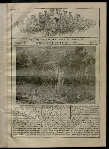 Աւետաբեր տղայոց համար, 1900, հատոր ԻԹ, թիւ 5 (Մայիս 1)