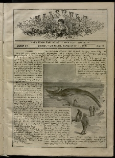 Աւետաբեր տղայոց համար, 1905, հատոր ԼԴ, թիւ 9 (Սեպտեմբեր 1)