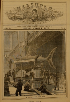 Աւետաբեր չօճուգլար իչիւն, 1877, Ճիլտ Զ, Ն° 8 (1 Օգոստոս)