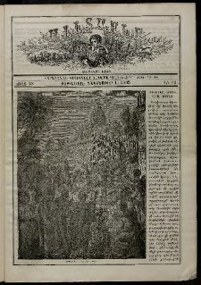 Աւետաբեր չօճուգլար իչիւն, 1893, Ճիլտ 23, Ն° 12 (1 Դեկտեմբեր)
