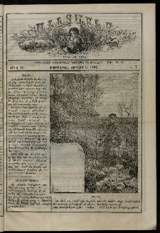 Աւետաբեր չօճուգլար իչիւն, 1894, Ճիլտ 24, Ն° 7 (1 Յուլիս)