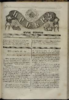 Երեւակ, 1866, Բ տարի, Գ շրջան, թիւ 101 (1 Փետրվար)