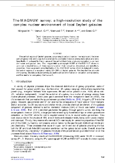 The MAGNUM survey: a high-resolution study of the complex nuclear environment of local Seyfert galaxies