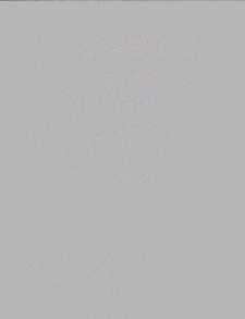 Կոթի