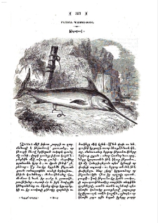 Թրաձուկ