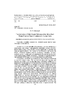 The Activation оf DNА Repair Pathways after Ultra-Short Pulsed Electron Beam Irradiation in Human Cells