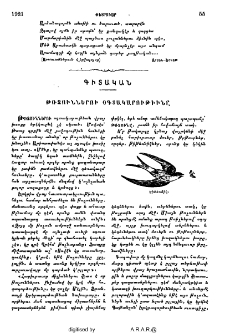 Թռչուններու օգտակարութիւնը