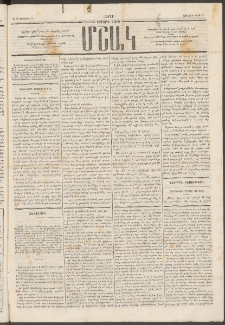 Մշակ, 1874, Երրորդ տարի, Թիւ 24 (Յունիսի 20)