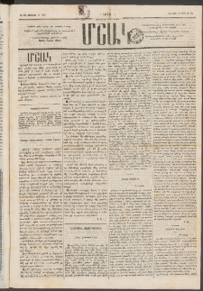 Մշակ, 1876, Հինգերորդ տարի, Թիւ 22 (Յունիսի 17 (29)