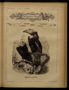 ԲՈՒՐԱՍՏԱՆ ՄԱՆԿԱՆՑ, 1885, Հատոր Դ, Տետր 21