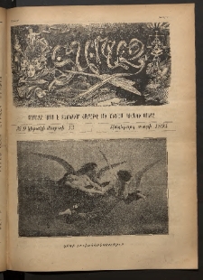 Տարազ, 1894, Հինգերորդ տարի, Թիւ 9 (Կիրակի, 13 Մարտի)