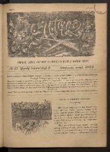 Տարազ, 1894, Հինգերորդ տարի, Թիւ 37 (Կիրակի, 2 Հոկտեմբերի)