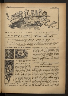 Տարազ, 1896, Եօթերորդ տարի, Թիւ 21 (Կիրակի, 2 Յունիսի)