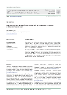 Мхи (bryophyta) и лишайники (lichenes) на плодовых деревьях и меры борьбы с ними