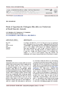Study of Opportunistic Pathogenic Microflora in Otodectosis of Small Domestic Animals