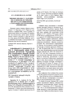 Типовые образцы Г. С. Карелина и И. О. Кирилова из гербария Института Ботаники им. А. Тахтаджяна НАН республики Армения (ERE)