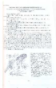 Երկկենցաղների կմախքի կազմությունը