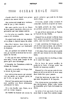 Oiseau exile
