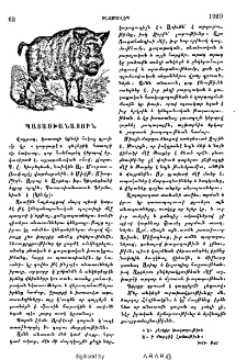 Պատասխանատուն