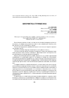 Биоочистка сточных вод