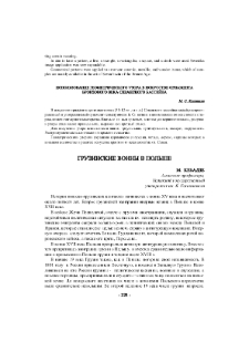 Грузинские воины в Польше