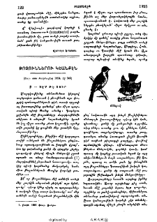 Թռչուններու կեանքէն