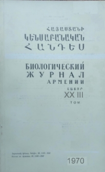Չկայ վերնագիր