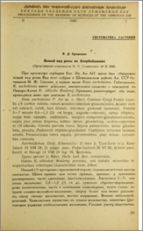 Новый вид розы из Азербайджана