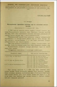Наследование признаков пшеницы при их опылении смесью пыльцы