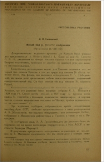 Новый вид p. Stellera из Армении