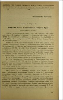 Новый вид Muscari из Закавказья и северного Ирана