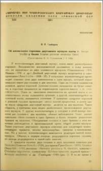 Об аномальном строении двуглавого мускула плеча m. biceps brachii у белки Sciurus persicus anomalus Cmel