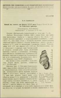 Новый вид нового для фауны СССР рода Pyrgula Cristof. & Jan из Советской Армении