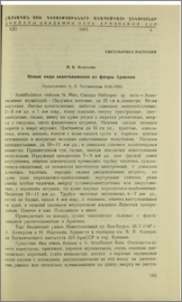 Новые виды акантолимонов из флоры Армении