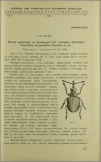 Новый трубковерт из Армянской ССР (Coleoptera, Attelabidae) Coenorrhinus phryganophilus Khnzorian sp. nov.