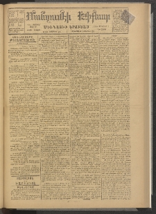 ՄԱՆԶՈՒՄԷԻ ԷՖՔԵԱՐ, 1878, Թիւ 3906 (Նոյեմբեր 13)