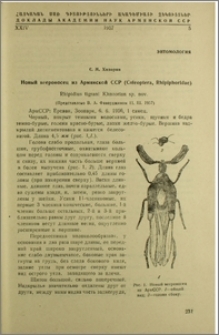 Новый веероносец из Армянской ССР (Coleoptera, Rhipiphoridae) Rhipidius tigrani Khnzorian sp. nov.