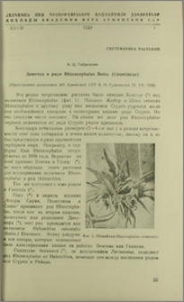 Заметка о роде Rhizocephalus Boiss. (Gramineae)