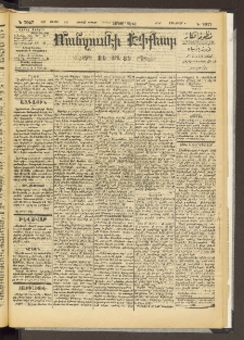 ՄԱՆԶՈՒՄԷԻ ԷՖՔԵԱՐ, 1895, Թիւ 7027 (Յուլիս 1/13)