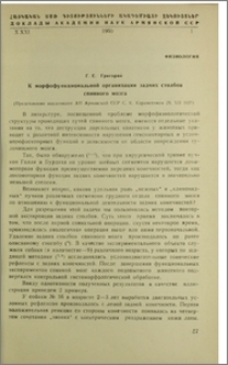 К морфофункциональной организации задних столбов спинного мозга