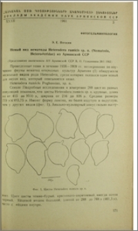 Новый вид нематоды Heterodera rumicis sp. n. (Nematoda, Heteroderidae) Армянской ССР