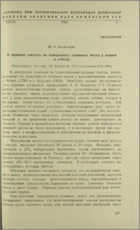 О нервных клетках на поверхности спинного мозга у кошки и собаки
